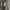 Coach sling bag / hand bag coach / tas tangan coach photo 2