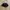 Bucket Hat Adidas Trefoil  photo 1