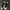 CONVERSE ONE STAR OX 159581C Κhaki photo 7