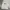 Sportswear Vest Pria white photo 1