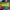 Adidas Streetwear Reworked Vest Pria multicolor photo 3