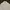 Polo Ralph Lauren Sportswear T-shirt Pria white photo 2