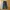 Japanese Parachute Cargo Trackpants