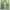 SMILE LAND JAPANESE VINTAGE STEALS FLARE BOOTCUT JEANS photo 6
