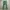 SMILE LAND JAPANESE VINTAGE STEALS FLARE BOOTCUT JEANS photo 5