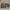 Allsaints Leather Hand Shoulder Bag Dusty Khaki Tas Hijau Ar photo 4