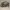 Allsaints Leather Hand Shoulder Bag Dusty Khaki Tas Hijau Ar photo 1