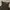beige studio - polan top espresso photo 2
