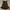 beige studio - polan top espresso photo 1