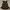 Beige Studio - Polan Top Espresso