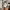 A Bathing Ape Streetwear Luxury Pria multicolor black photo 7