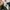 A Bathing Ape Streetwear Luxury Pria multicolor black photo 6