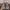 Salomon Xt6 Laurel Wreath/ Lily Pad/ Desert Sage 