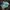 salomon xt6 laurel wreath/ lily pad/ desert sage  photo 5