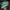 salomon xt6 laurel wreath/ lily pad/ desert sage  photo 4