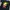 Kaos Vintage Takashi Murakami 24 Hour Television photo 2