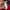 ZARA Gorpcore Maxi dress Wanita red photo 8