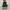 Converse Chuck Taylor All Star 70S High Black White photo 4