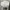 Converse Chuck Taylor All Star 70S High Black White photo 7