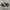 Converse Chuck Taylor All Star 70S High Black White photo 1