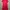 Lacoste Sportswear Casual Midi dress Wanita red photo 6