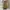 BAGGY JEANS KHAKI photo 1