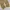 BAGGY JEANS KHAKI photo 6