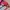 Vintage Sportswear Windbreaker Pria blue red photo 6