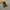 Dr Martens X Pendleton Boots Tan Beige photo 4