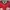 jersey umbro x aries photo 2