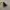 Dr Martens 1460 Smooth 8 Houl photo 4