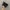 Dr Martens 1460 Smooth 8 Houl photo 2