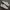 Reebok Vintage Classic C 85 White ( Size 44 ) photo 2