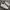 Reebok Vintage Classic C 85 White ( Size 44 ) photo 1