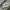 New Balance Streetwear Casual Casual shoe Pria gray photo 3