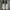Nike Waffle One SE Black Sail Phantom White ( Size 45 ) photo 4