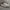 Nike Waffle One SE Black Sail Phantom White ( Size 45 ) photo 5