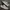 Nike Waffle One SE Black Sail Phantom White ( Size 45 ) photo 2