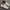 Nike Waffle One SE Black Sail Phantom White ( Size 45 ) photo 1