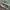 Converse One Star Low Mint Green ( Size 42 ) photo 3