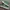 Converse One Star Low Mint Green ( Size 42 ) photo 2