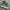 Converse One Star Low Mint Green ( Size 42 ) photo 1
