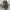 Nike Giannis Immortality 3 EP Triple Black ( Size 40 ) photo 3