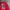 Vintage Streetwear Sweatshirt Pria red photo 3