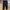 Easy Ankle Pants GU by Uniqlo black  photo 1