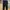 Easy Ankle Pants GU By Uniqlo Black 