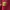Jersey Barcelona 2009/2010 photo 5