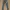 Jeans CELCIUS photo 5