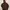 Roxy Sportswear Track Jacket Pria Brown