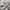 Reebok Y2K Sportswear Sweatpants & Joggers Pria gray photo 6